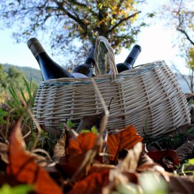 Picnic Dominio de Razamonde